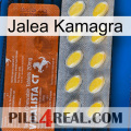 Jelly Kamagra 42